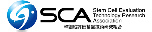 SCA 幹細胞評価基板技術研究組合