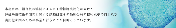 本組合は、組合員の共同によるヒト幹細胞実用化に向けた評価基板技術の開発に関する試験研究その他組合員の技術水準の向上及び実用化を図るための事業を行うことを目的としています。